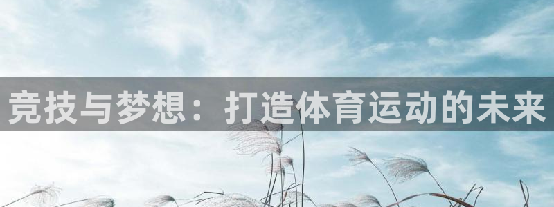 谈球吧