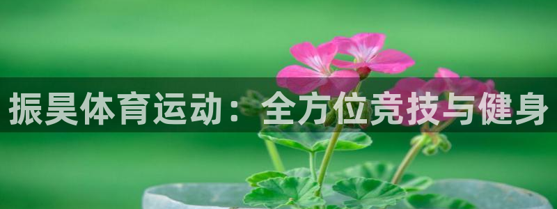 谈球吧