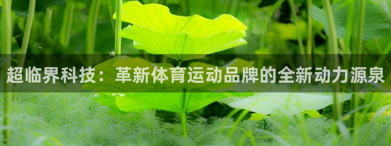 谈球吧
