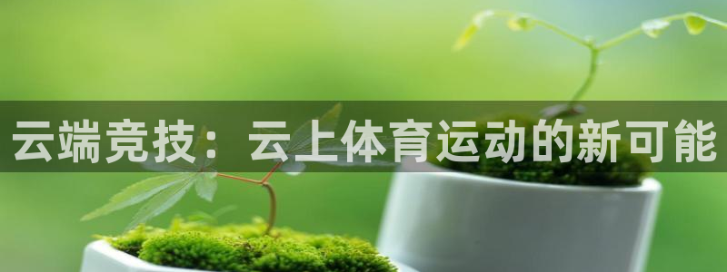 谈球吧体育