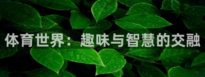 谈球吧体育官网